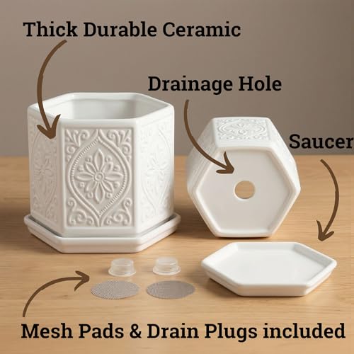 Ceramic Pots for Plants Set of 2, 6-Inch & 4-Inch Wide w/ Drainage & Saucer