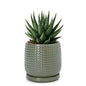 D'vine Dev Beaded Ceramic Pot with Saucer, 4 in, Olive, 27-C-Z-0 - color: Olive, size: 4.3 Inch