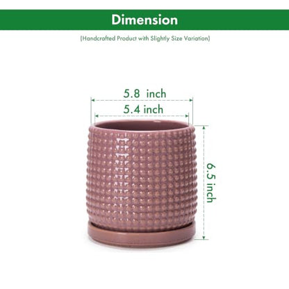 D'vine Dev Beaded Ceramic Pot with Saucer, 6 in, Blush Mauve, 27-C-X-K - color: Blush Mauve, size: 5.8 Inch