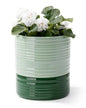 Fayoula Self Watering Pots for Indoor Plants, 6 Inch Ceramic Self Watering Plant Pot, Planter Pot with Wick Rope and Drainage Hole for African Violet Succulent Herbs (Green Light) - color: Green Light