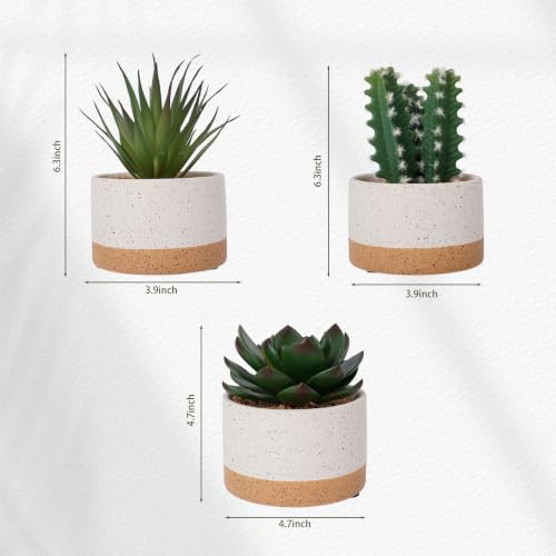 Artificial Succulent Cactus Plant Set Ceramic Flower Pot Set of 3 for Home, Office, Desk, Bedroom, Living Room Decoration