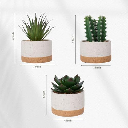 Artificial Succulent Cactus Plant Set Ceramic Flower Pot Set of 3 for Home, Office, Desk, Bedroom, Living Room Decoration