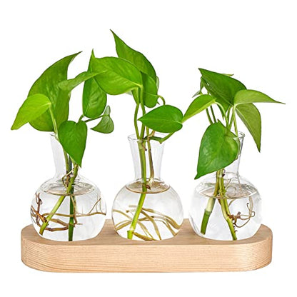 Mkono Plant Propagation Station, Desktop Glass 3 Bulb Vase Beige Wood Tray - color: Beige, size: Medium