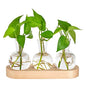 Mkono Plant Propagation Station, Desktop Glass 3 Bulb Vase Beige Wood Tray - color: Beige, size: Medium