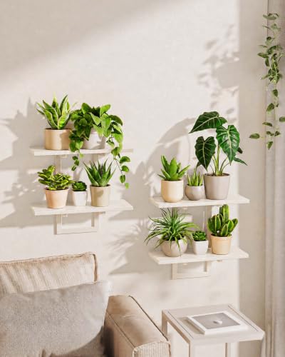Bamworld Floating Shelves for Wall Planters Indoor Hanging Plant Shelves - color: White-rectangular, size: 2 pcs