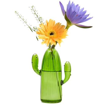 XXXFLOWER Cactus Plant Propagation Station 1 Cactus Vase Terrarium Jars - size: 1PC Cactus Vase