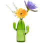 XXXFLOWER Cactus Plant Propagation Station 1 Cactus Vase Terrarium Jars - size: 1PC Cactus Vase