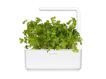 Click and Grow Smart Garden Plain Parsley Plant Pod (3-Pack)