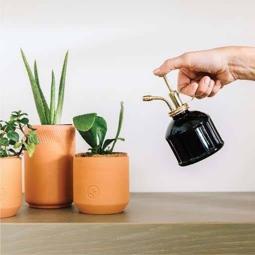 Modern Sprout Plant Mister - 8 oz Indoor Watering Can & Sprayer - Black - color: Black