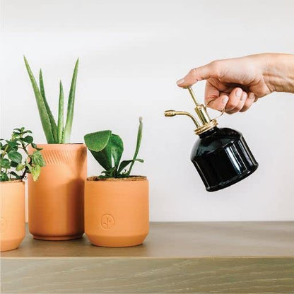 Modern Sprout Plant Mister - 8 oz Indoor Watering Can & Sprayer - Black - color: Black