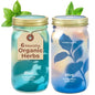 Modern Sprout Mason Garden Jar - Self-Watering Hydroponics Kit - Basil+Mint - color: Basil+mint, size: Garden Jars