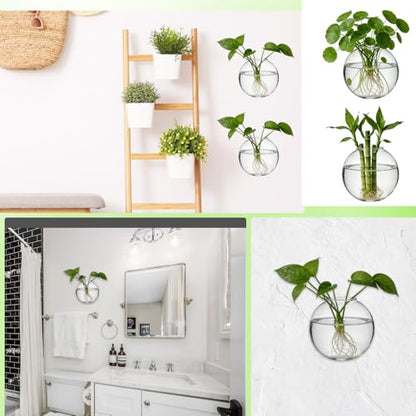 8PCS Wall Mounted Vase, Glass Wall Vase Propagation Wallmount Hanging Planters for Hydroponics with Traceless Nails for Home Office Living Room