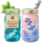 Modern Sprout Mason Garden Jar-Self-Watering Hydroponics Kit-Basil+Lavender - color: Basil + Lavender, size: Garden Jars
