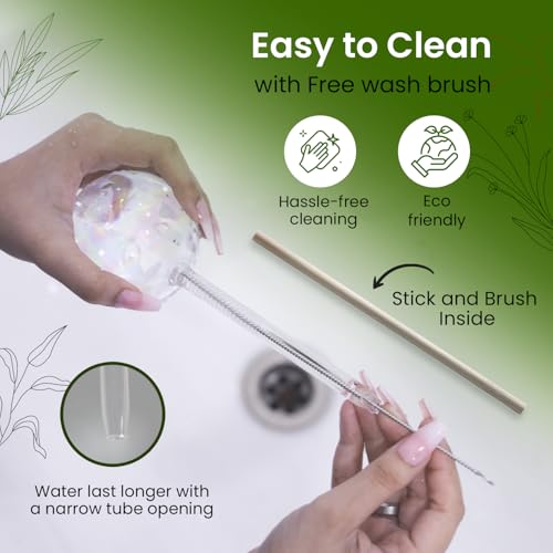 Iridescent Self Watering Globes, Glass Rainbow Plant Watering Globes, Self Watering Planter Insert, Automatic Plant Waterer Indoor (Medium-2 Pcs Iridescent, Medium) - color: Medium - 2 Pcs (Pack of 1)