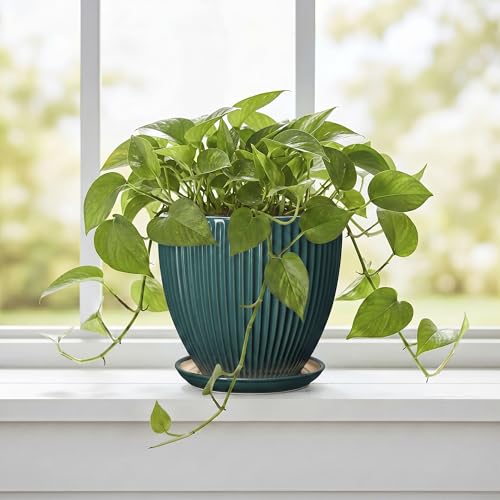 Ceramic Flower Pots, 6 Inch Planters with Saucer, Blackish Gree - color: Blackish Green, size: 6 Inch
