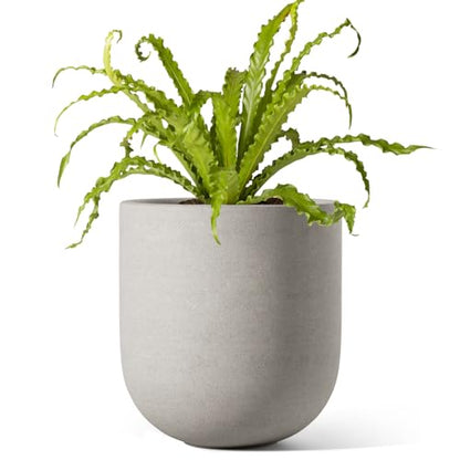 LE TAUCI 6 Inch Ceramic Plant Pot, Small Indoor Planter, Neutral Gray - color: Neutral Gray, size: 6 Inch