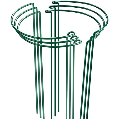 HiGift 6 Pack 24 Inch Plant Stakes, 10" Wide x 24" High Half Round Metal Peony Cages and Support, Green Garden Plant Stake Plant Support Ring Border for Peony Tomato,Hydrangea,Flower Indoor Outdoor - color: Green - 6 Pack, size: 10" W x 24" H
