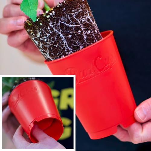 BudTrainer BudCups Nursery Pots for Seedlings, 16 Oz, Red, 5-Pack - color: Red