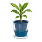 D'vine Dev Self-Watering Blue Terracotta Planter Pot, 4 in, 37-X-A-4 - color: Blue, size: 4 Inch
