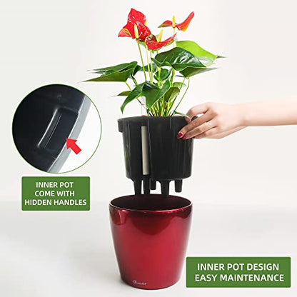 Dexceder 9x8 Self Watering Planter (Red High Gloss) - color: Red, size: 9x8