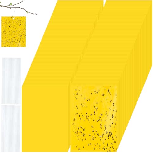Qualirey 150 Pcs Yellow Sticky Traps for Gnats, 9.8 x 5.9 Inch - color: Yellow, size: 9.8 x 5.9 Inch