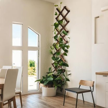 Expandable Garden Trellis, 13"x68" Trellis for Climbing Plants Outdoor 1Pcs - size: 13" x 68" 1 Pack