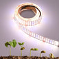 6.6FT/2M LED Plant Grow Light Strip 24V 55W 840LEDs - size: 6.6FT
