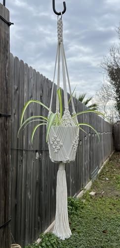 2 Pack Macrame Planter Hanger for 8 inch, Plant Hanger Indoor - color: Beige