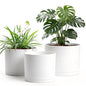 10/9/8 Inch Plant Pots 3 Pack, with Drainage Hole & Saucers - color: Matte White