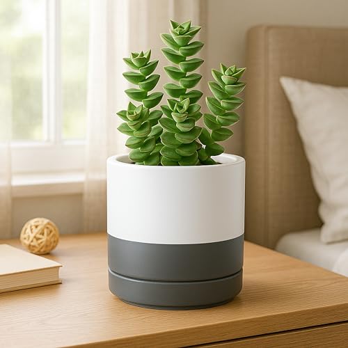 D'vine Dev 2-Pack Ceramic Pots with Saucers, White/Grey, 4/6 in, 94-G-S-6 - color: White/Speckled Grey, size: Small