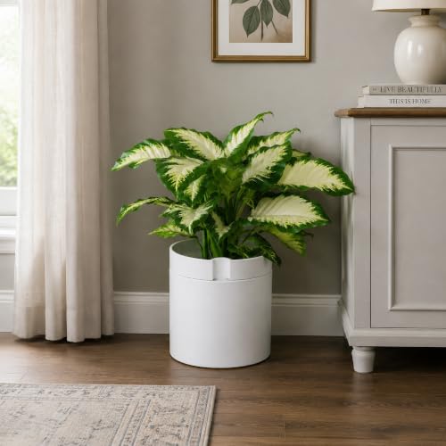 Phoenix Vine 10 Inch Cylinder Self Watering Planter, White Glazed Outer Plant Pot with Dolomite Clay Inner Planter for Indoor Plants, White, 31-A-I-W - color: White