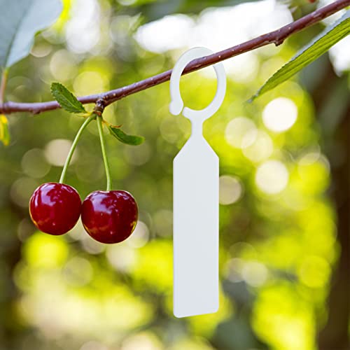 KINGLAKE GARDEN 100Pcs White Plastic Plant Tree Tags Ring Tag