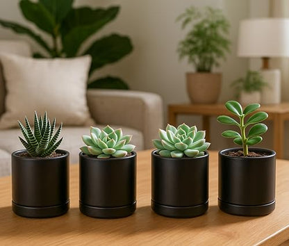 D'vine Dev 4-Pack Ceramic Pots with Saucers, Black, 3.5 in, 94-X-A-2 - color: Black, size: 3.5 Inch