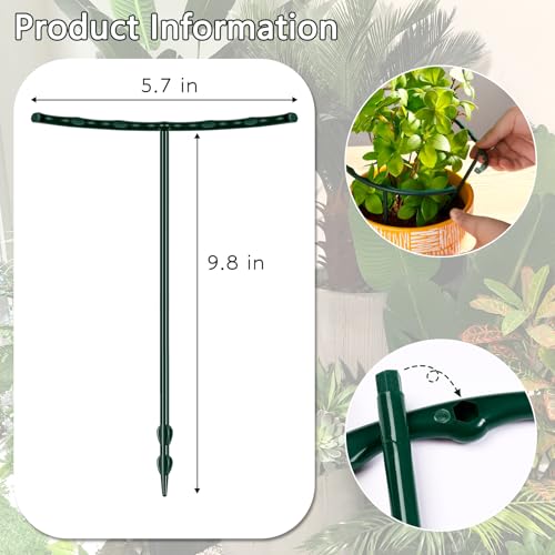 Mwellewm Plant Stakes Small Plant Supports for Indoor Plants Holder Sticks - size: 5.7 x 9.8inch