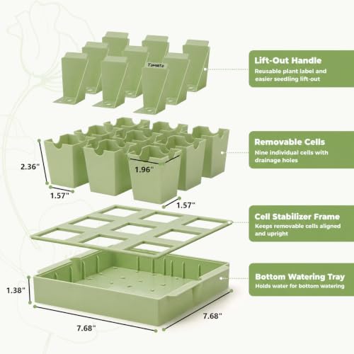 Seed Starter Tray with Lift-Out Handles for Easy Transplanting