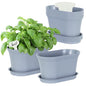 Oliz 6pk Windowsill Planters, Grey Plastic w/Drain Tray - Indoor/Outdoor - color: Gray