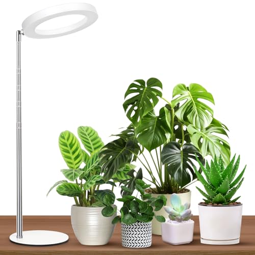 Desktop Grow Light for Indoor Plants - Full Spectrum Plant Lights for Indoor Growing with Timer, 9.1 in ~ 39 in Adjustable Pole & Heavy Metal Base, Small Plant Lamp for Desk - color: White
