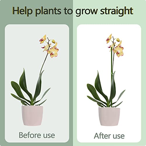 20Pcs Plant Stakes, 18IN Orchid Support Stakes for Indoor Plants - size: 18 Inches