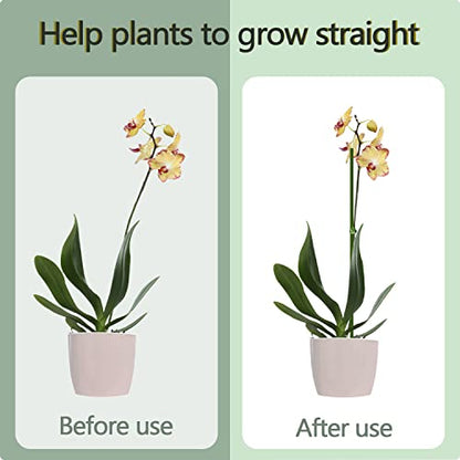 20Pcs Plant Stakes, 23.6IN Orchid Support Stakes for Indoor Plants - size: 23.6 Inches