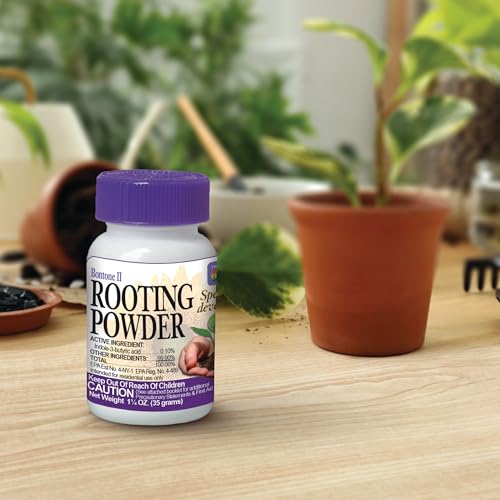Bonide Bontone II Rooting Powder, 1.25 oz Ready-to-Use Dust for Houseplants and Transplants Speeds Root Development (Pack of 4) - size: 1.25 oz (Pack of 4)