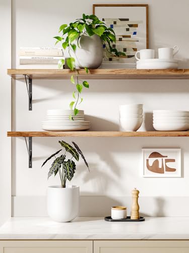 LE TAUCI 6 Inch Ceramic Plant Pot, Small Indoor Planter, White - color: White, size: 6 Inch