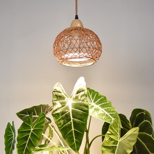 Bstrip Hanging Grow Light for Indoor Plants 18W - size: Rattan Lantern-Hanging