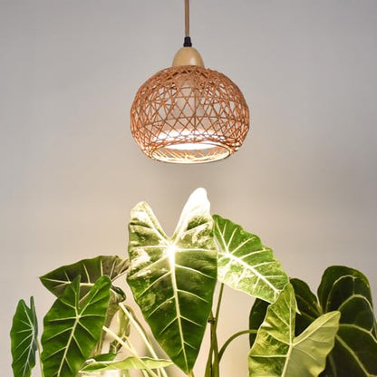 Bstrip Hanging Grow Light for Indoor Plants 18W - size: Rattan Lantern-Hanging