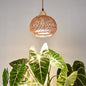 Bstrip Hanging Grow Light for Indoor Plants 18W - size: Rattan Lantern-Hanging