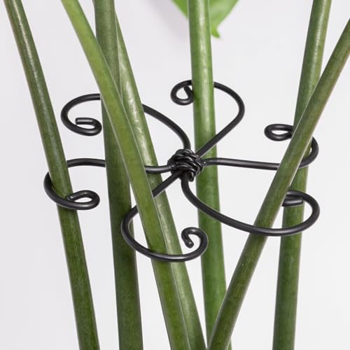Yohsnor 4.1IN Black Monstera Plant Support Hook-Great for Climbing Plants - color: Black, size: 4.1IN*4.1IN