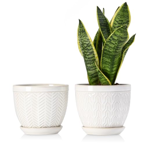 6.5 Inch Ceramic Plant Pots Set of 2, Glazed White Embossed - color: Glazed White, size: 6.5 inch