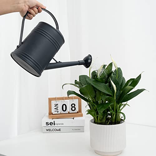 Plastic Indoor Watering Can with Sprinkler Head - 68 oz, 1/2 Gallon - color: Black