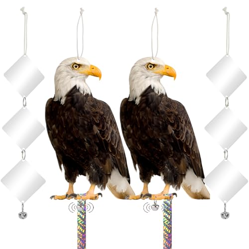 Fake Owls to Keep Squirrels Away from Outdoor 2PCS Flat Garden Owls Plastic Owl to Scare Pigeon Woodpecker for Balcony House Hanging Hawk with Reflective Tape for Patio Yard Front Porch - color: Black Hawk 03 2Pcs