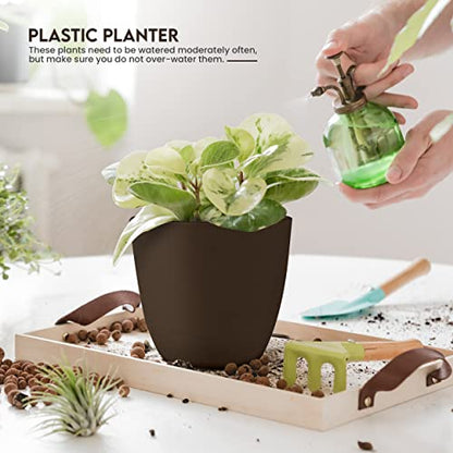 Plant Pots Indoor with Drainage, 5 Pack Multi-Size Planters Set, Brown - color: Brown, size: Pack of 5