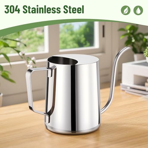 Doseno Indoor Watering Can, Long Spout Watering Can, Stainless Steel, 20 oz - size: 600ml/20oz-Stainless Steel